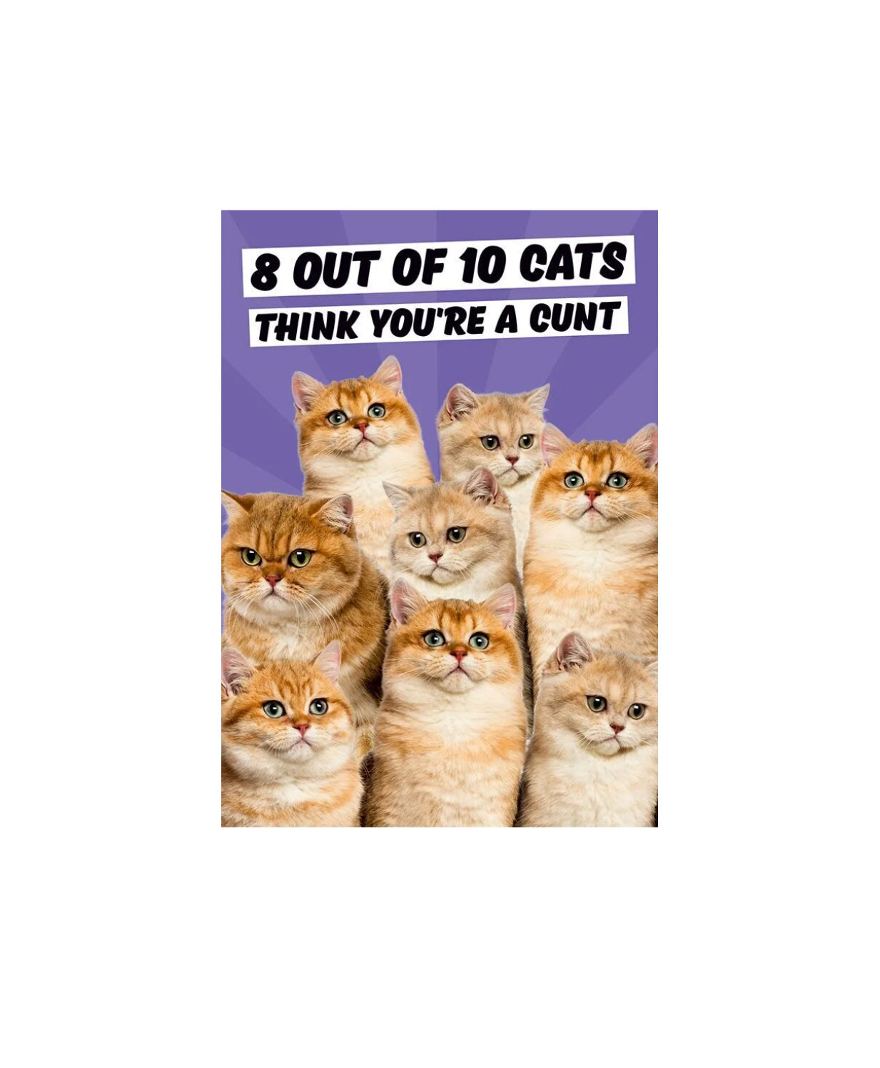 8 Out Of 10 Cats Card